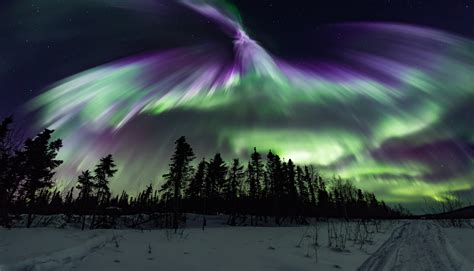 aurora borealis forecast fairbanks alaska
